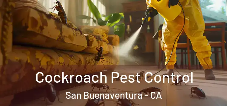  Cockroach Pest Control San Buenaventura - CA