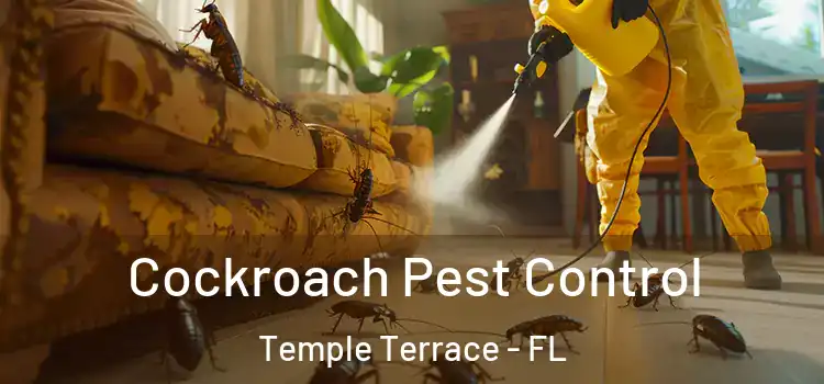  Cockroach Pest Control Temple Terrace - FL