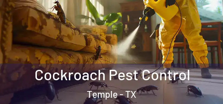 Cockroach Pest Control Temple - TX
