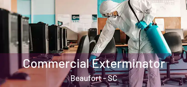 Commercial Exterminator Beaufort - SC