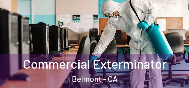 Commercial Exterminator Belmont - CA