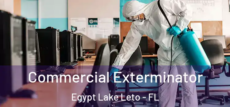  Commercial Exterminator Egypt Lake Leto - FL