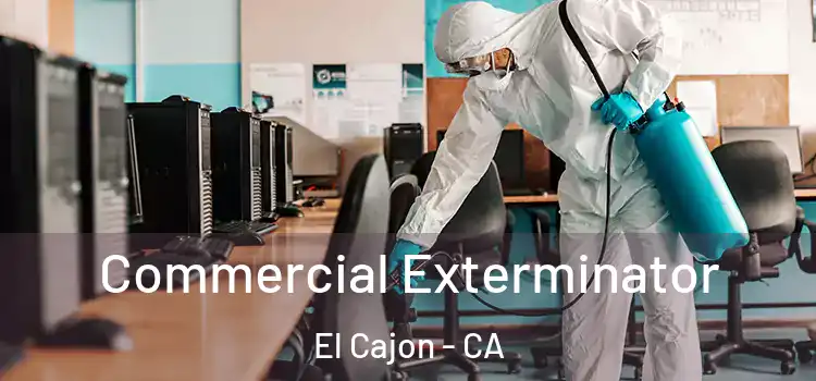 Commercial Exterminator El Cajon - CA