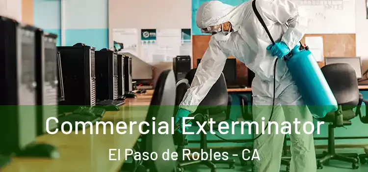 Commercial Exterminator El Paso de Robles - CA