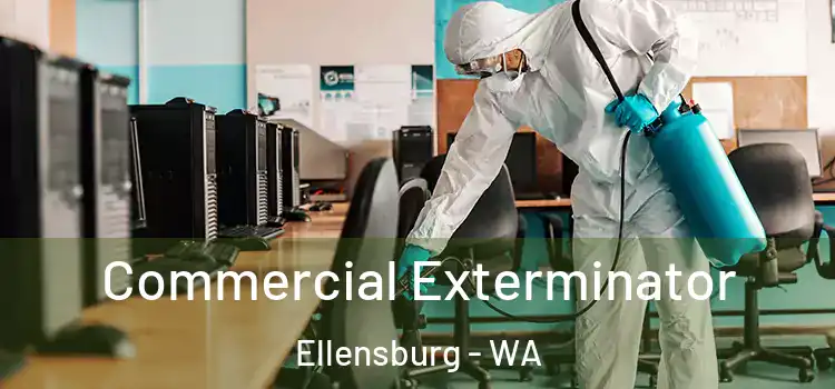  Commercial Exterminator Ellensburg - WA