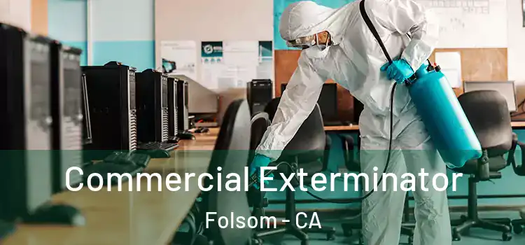 Commercial Exterminator Folsom - CA