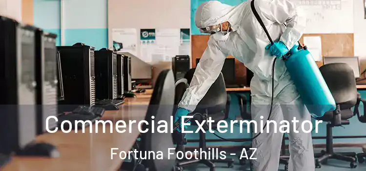  Commercial Exterminator Fortuna Foothills - AZ