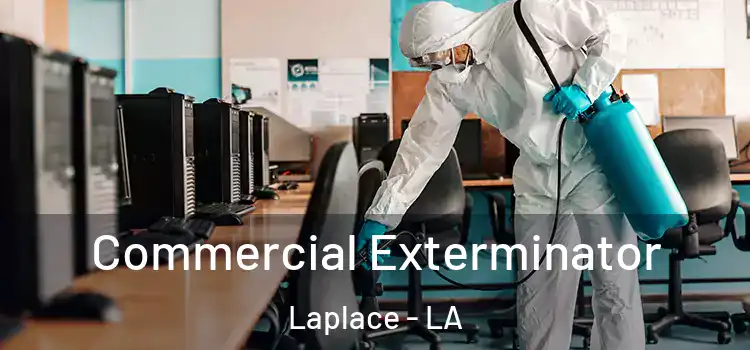 Commercial Exterminator Laplace - LA