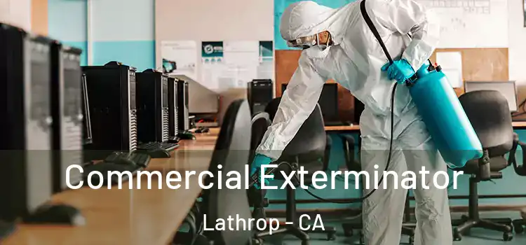 Commercial Exterminator Lathrop - CA