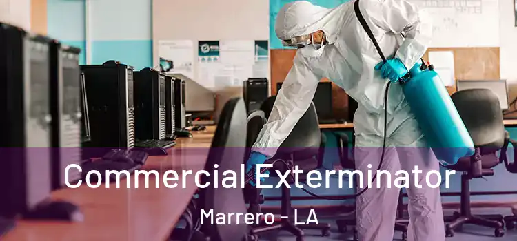 Commercial Exterminator Marrero - LA