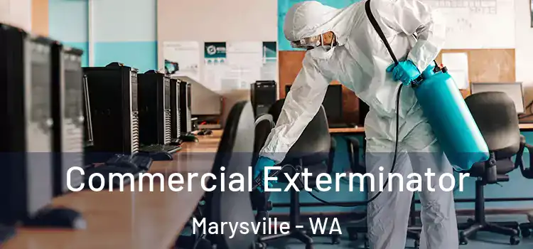 Commercial Exterminator Marysville - WA