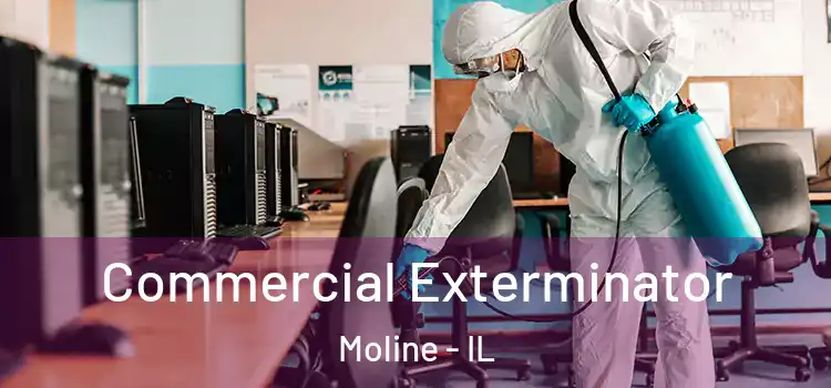 Commercial Exterminator Moline - IL