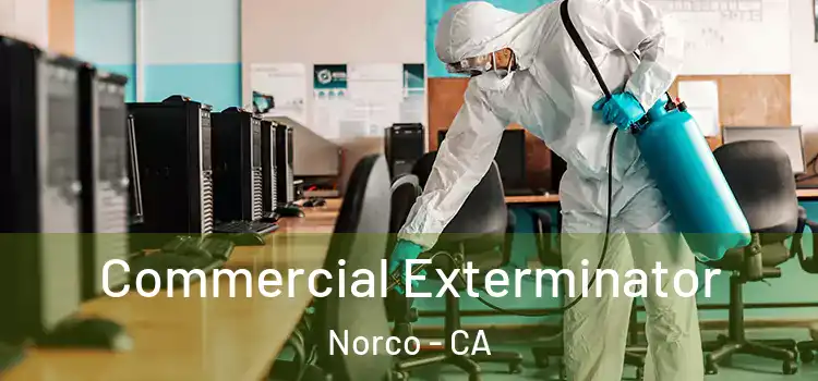 Commercial Exterminator Norco - CA