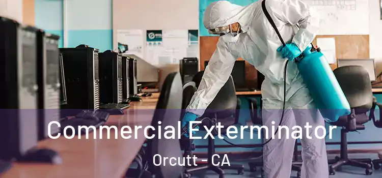 Commercial Exterminator Orcutt - CA