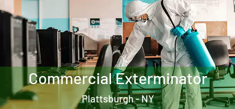  Commercial Exterminator Plattsburgh - NY