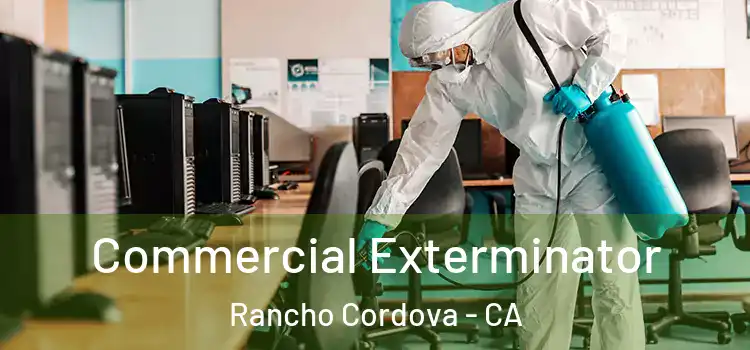 Commercial Exterminator Rancho Cordova - CA