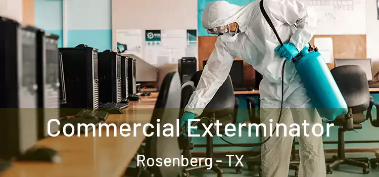  Commercial Exterminator Rosenberg - TX