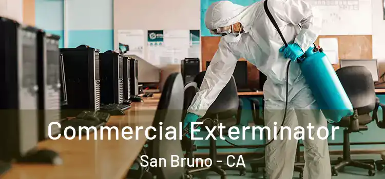 Commercial Exterminator San Bruno - CA