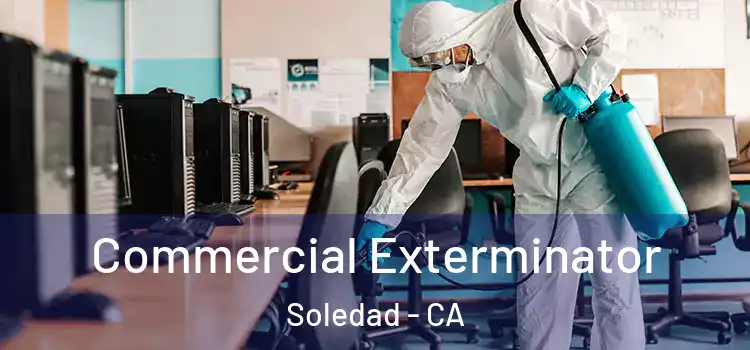 Commercial Exterminator Soledad - CA