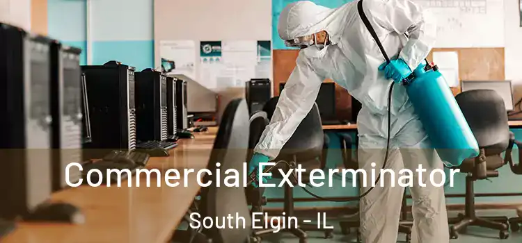  Commercial Exterminator South Elgin - IL
