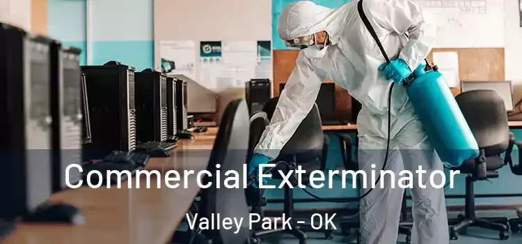  Commercial Exterminator Valley Park - OK