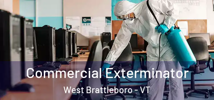  Commercial Exterminator West Brattleboro - VT
