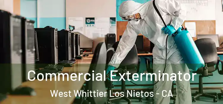 Commercial Exterminator West Whittier Los Nietos - CA