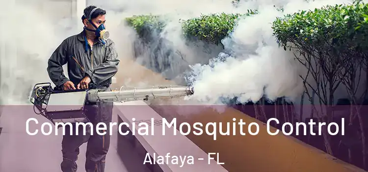  Commercial Mosquito Control Alafaya - FL