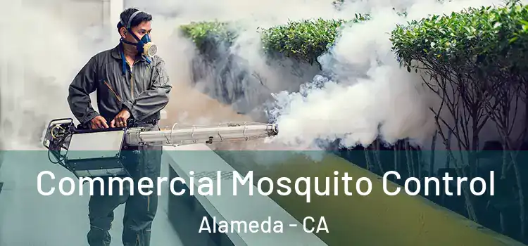  Commercial Mosquito Control Alameda - CA
