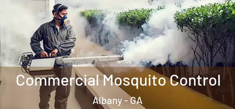 Commercial Mosquito Control Albany - GA