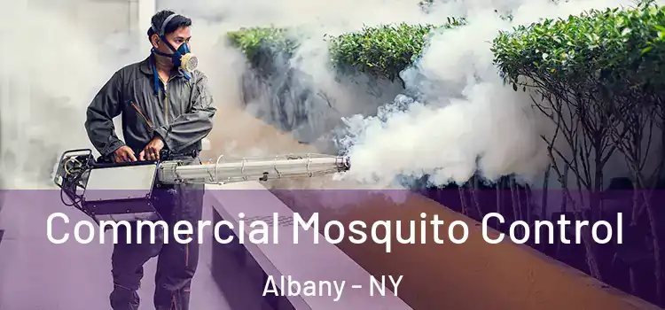 Commercial Mosquito Control Albany - NY