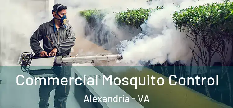  Commercial Mosquito Control Alexandria - VA