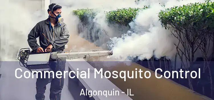  Commercial Mosquito Control Algonquin - IL