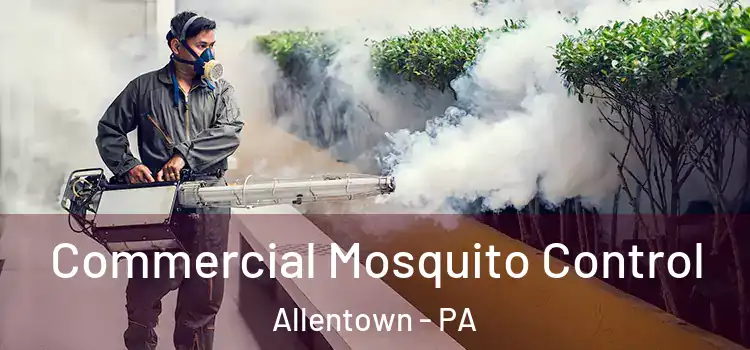  Commercial Mosquito Control Allentown - PA