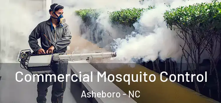 Commercial Mosquito Control Asheboro - NC