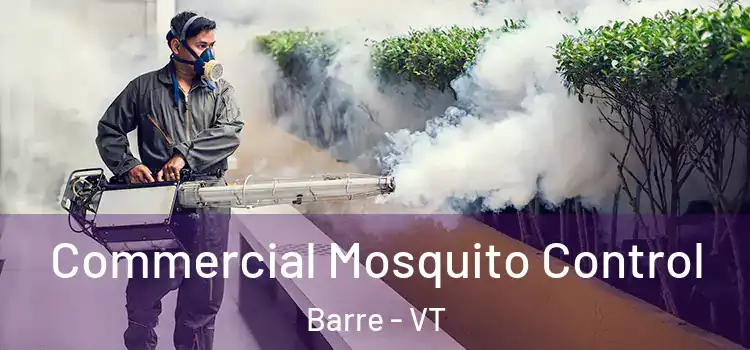 Commercial Mosquito Control Barre - VT