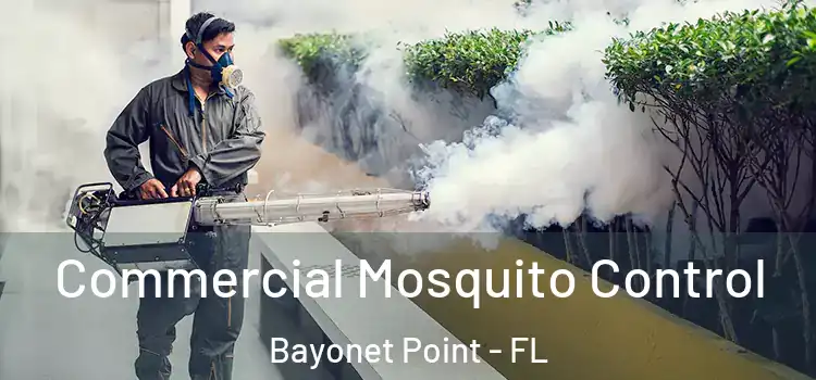 Commercial Mosquito Control Bayonet Point - FL