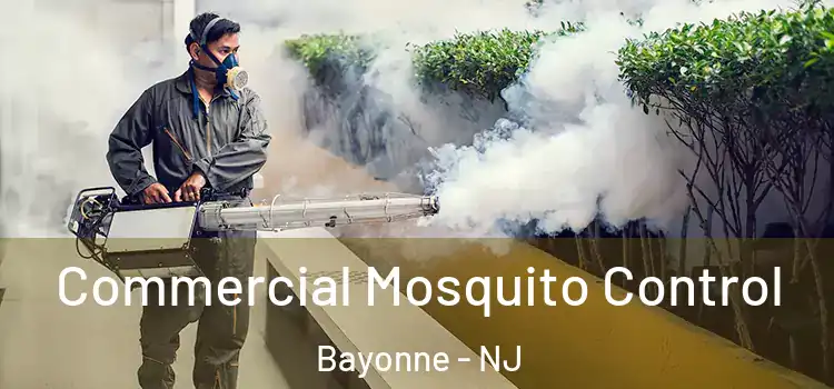 Commercial Mosquito Control Bayonne - NJ