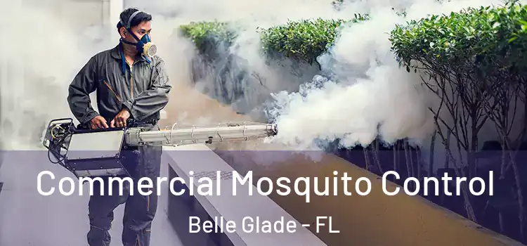Commercial Mosquito Control Belle Glade - FL