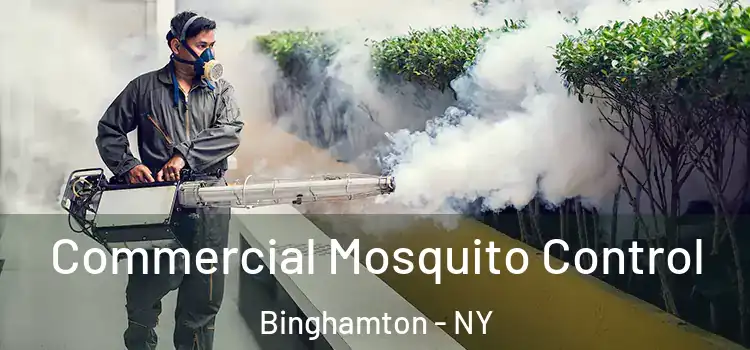 Commercial Mosquito Control Binghamton - NY