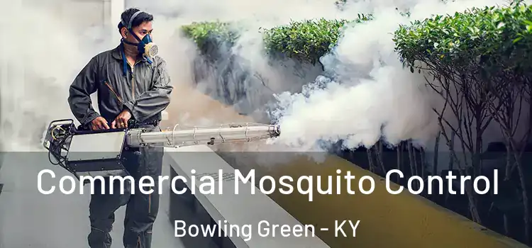  Commercial Mosquito Control Bowling Green - KY