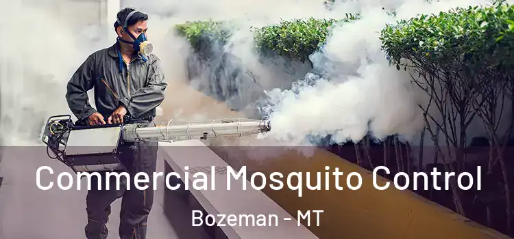 Commercial Mosquito Control Bozeman - MT