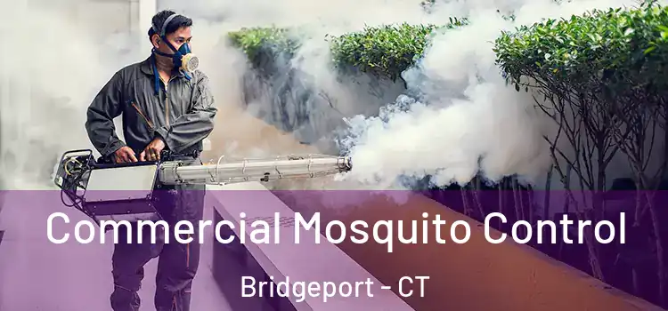  Commercial Mosquito Control Bridgeport - CT