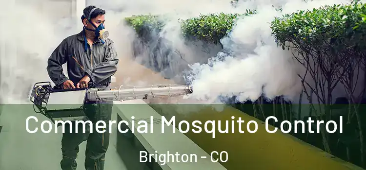  Commercial Mosquito Control Brighton - CO