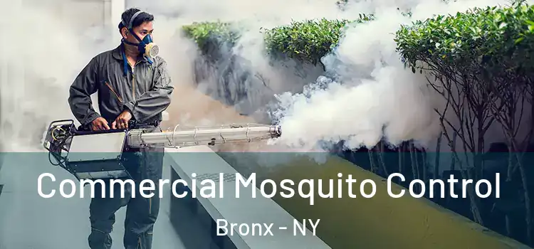  Commercial Mosquito Control Bronx - NY