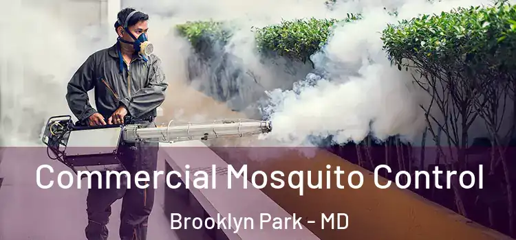 Commercial Mosquito Control Brooklyn Park - MD