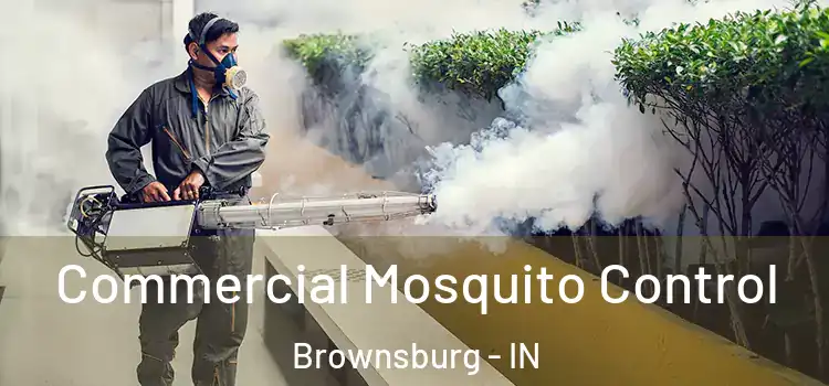  Commercial Mosquito Control Brownsburg - IN