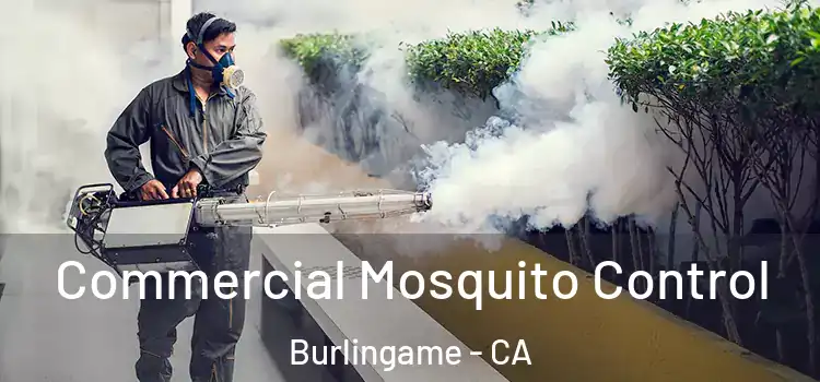  Commercial Mosquito Control Burlingame - CA