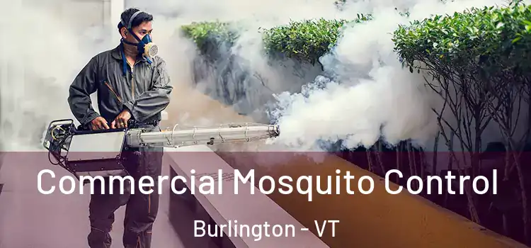  Commercial Mosquito Control Burlington - VT