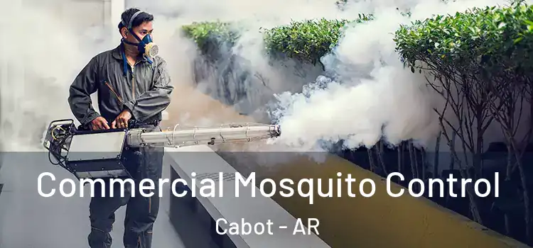 Commercial Mosquito Control Cabot - AR